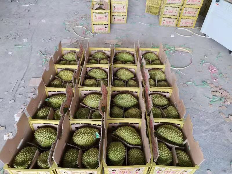Durian