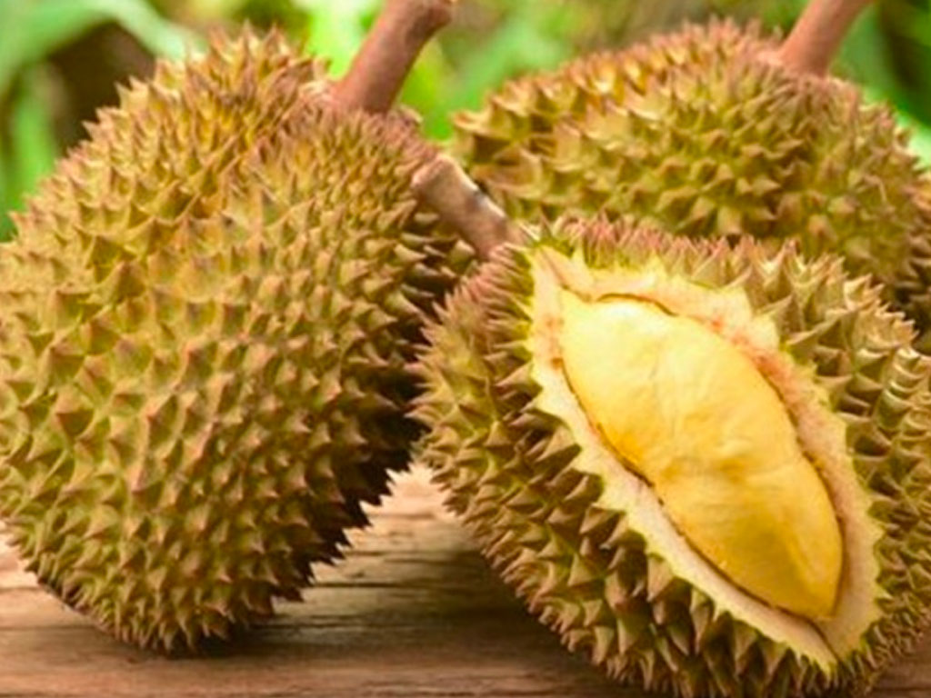 sau-rieng-monthong-giong-thai-tui-3kg-202111241353527143