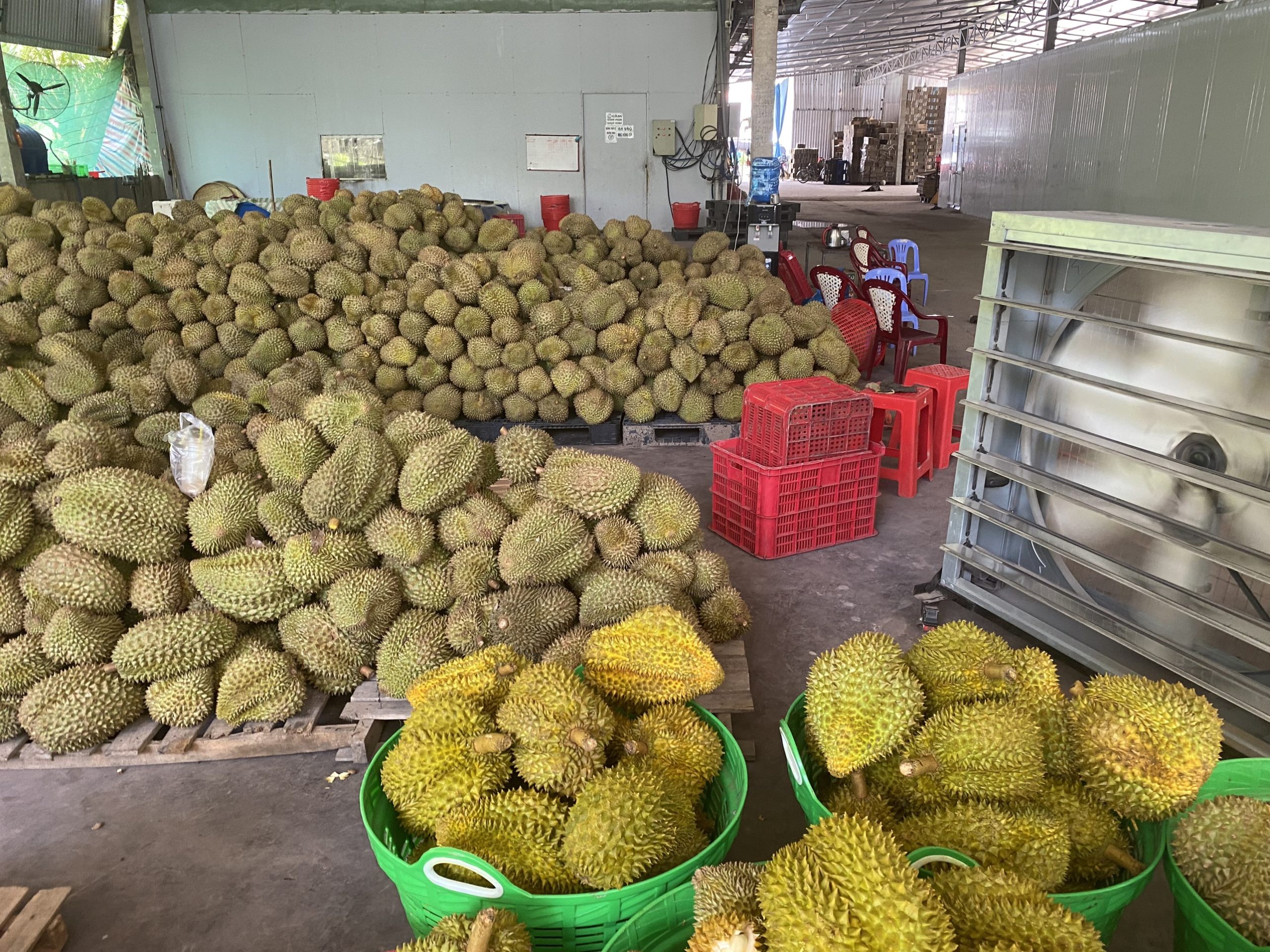 z4548002003401_bda7da27f816c86cbc1329c5718cb00a