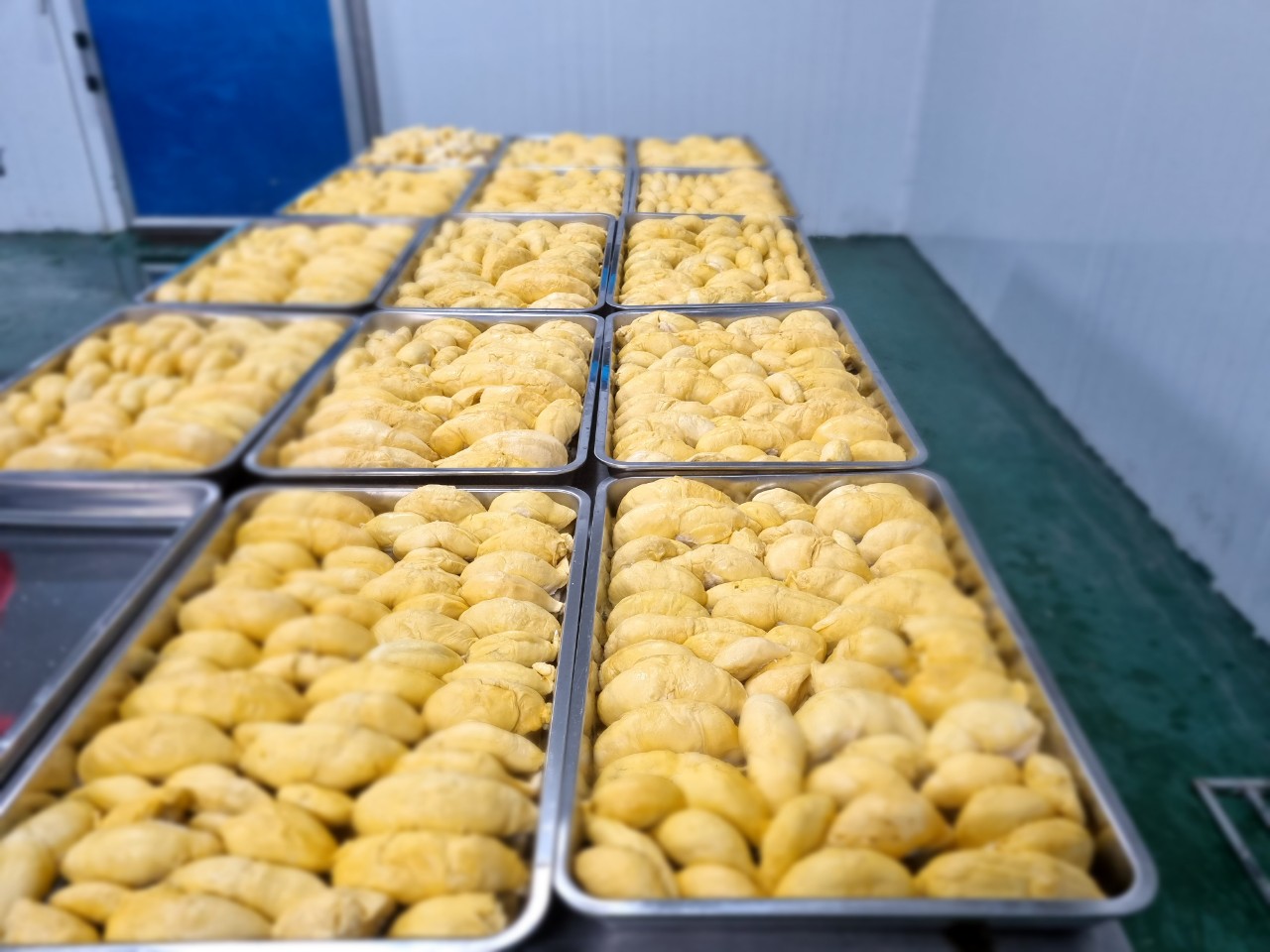 z4447096540754_47a70accfb9c1e0179ca663cc0d3749b