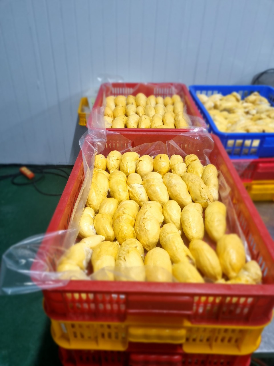 z4447096540765_172aef857f85715996b3f7a95da3f51f