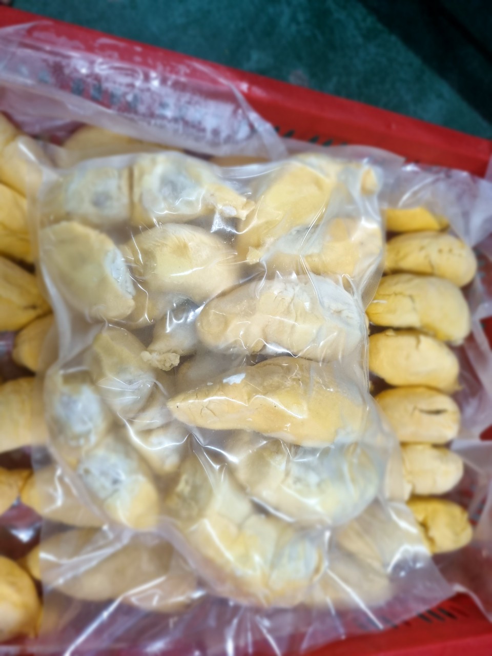 z4447096542438_cd4290999e74fca06328ec4491b63a5c