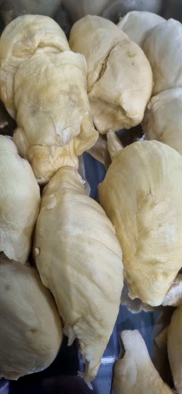 z4447096542566_f36dcf2681d5ca7d6962833ad7be1ac8