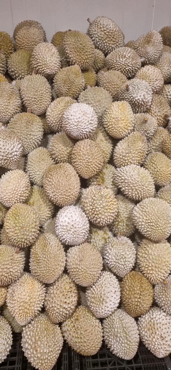 z4447319316091_24cda7c7999a1a557492f79e866bb35b